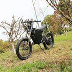 Powerful Mountain Beast Off-Road Adventure Electric Bike