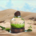 Micro Aquarium Compact Glass Ecological Fish Tank