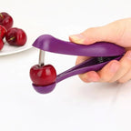 Cherry Pitter Remover Gadget