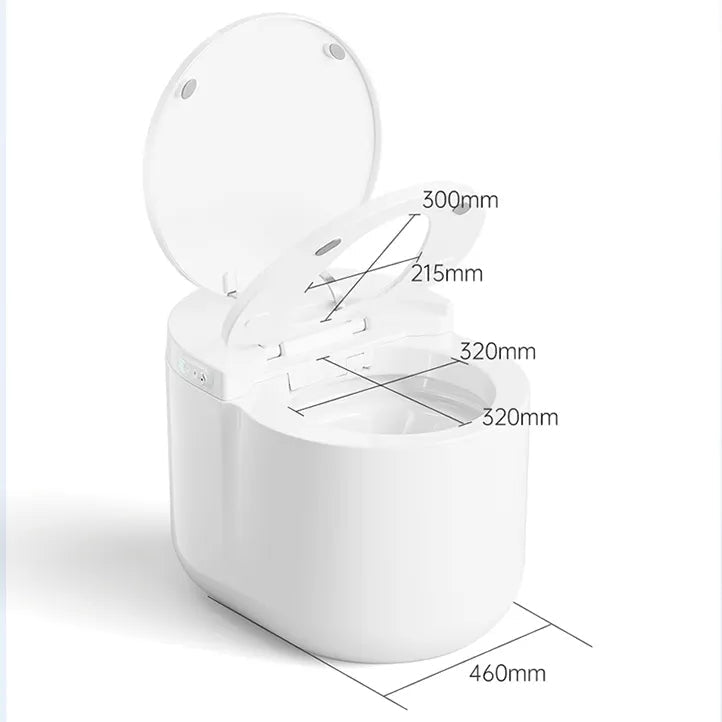 Instant Heat Compact Remote-Controlled Intelligent Automatic Bidet Toilet