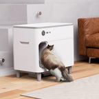 Automatic Self-Cleaning Premier Pet Litter Box