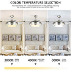 Modern Remote Controlled LED Ceiling Fan Lamp