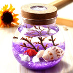 3D Underwater  World DIY LED Night Lamp