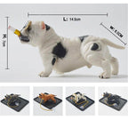 Cool Chill Doggy Decoration