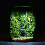 Mini Forest Maker Terrarium Decor Vase