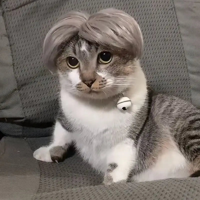 Auntie Style Funny Pet Wig