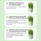 Cat Snack Mint Planting Pot