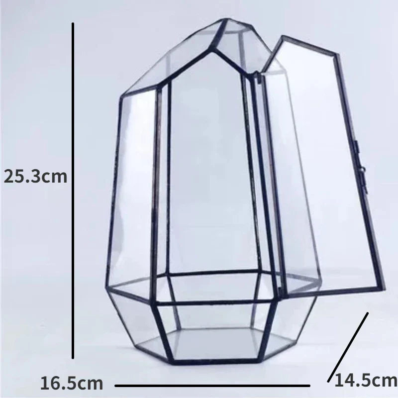 Modern Geometric Nature-Inspired Botanical Terrarium