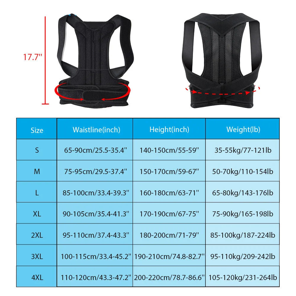 Trend Back Support Adjustable Lumbar Support Back Posture Corrector – BipTrend