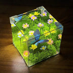 LED Butterfly Garden Cube Night Light Decor