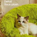 Mini Monster Cuddle Pet Bed