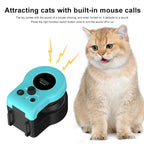 Cat Chaser Automatic Indoor Fun Pet Toy