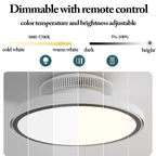 Modern Full Spectrum Invisible Blade LED Ceiling Fan Lamp