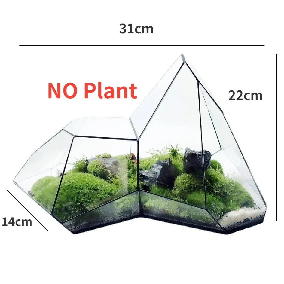 Geometric Glass Moss Planter Terrarium Vase