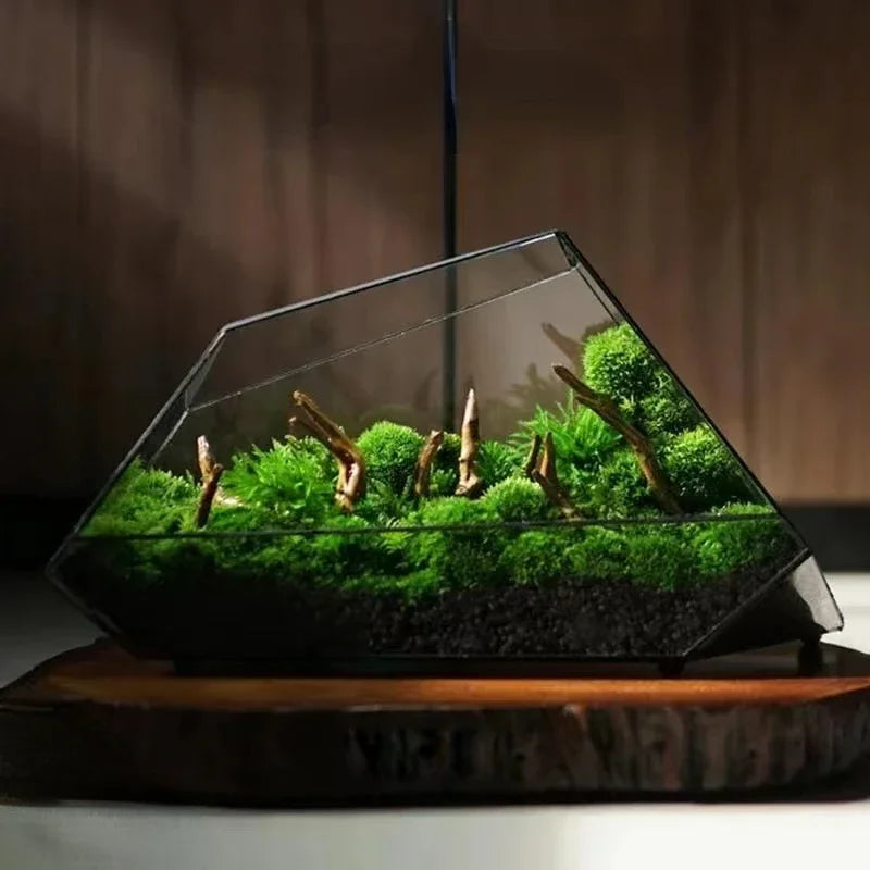 Geometric Glass Moss Planter Terrarium Vase