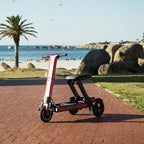 Tri-Wheel Foldable Padded Seat Electric Mobility Scooter