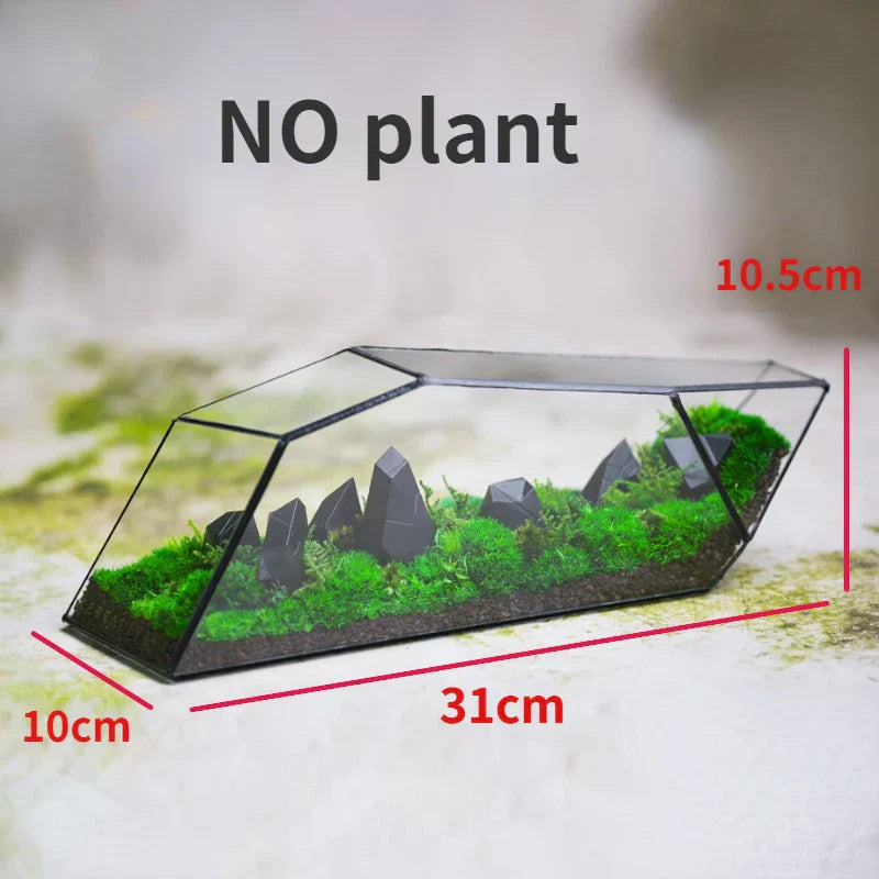 Geometric Glass Moss Planter Terrarium Vase