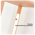 Elegant Wooden LED Light Nordic Shelf