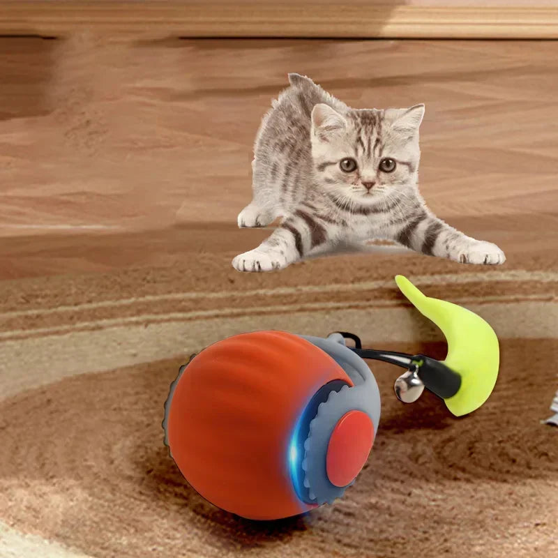 Forever Run Motion Cat Play Ball Toy