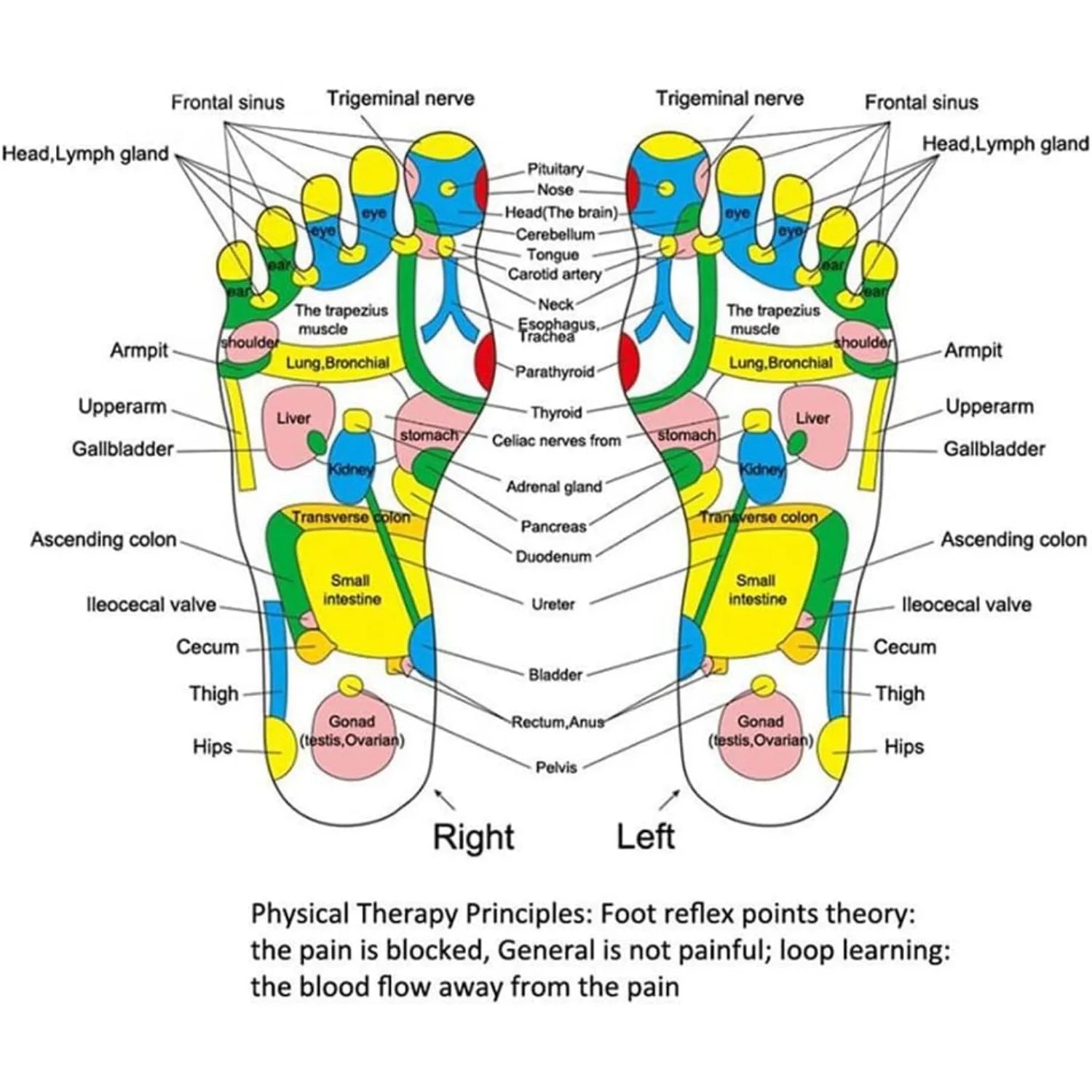 Multi-Point Reflexology Stress Relief Foot Massage Mat