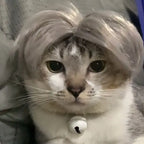 Auntie Style Funny Pet Wig