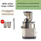 Electric Masticating Quick Vitamin Juicer Machine