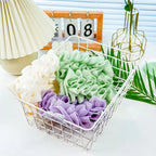 2in1 Soap Holder Shower Sponge