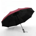 Rain Safe Compact Windproof Umbrella
