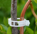 Green Garden Safe Plant Support Clips