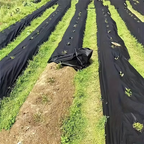 Garden Ground Cover Long-Lasting Anti-grass Fabric