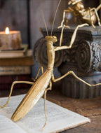 Giant Ants Ornaments Resin Home Decor