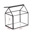 Mini Tabletop Handmade GreenHouse Terrarium