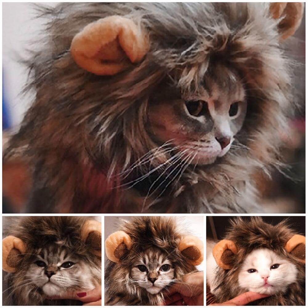 Lion Cat Wig