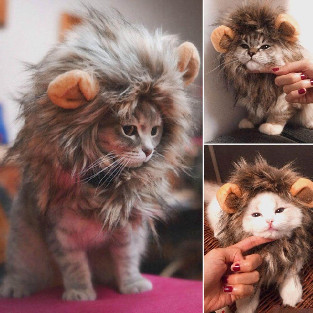 Lion Cat Wig