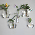 Wall Hanging Hydroponic Glass Vases