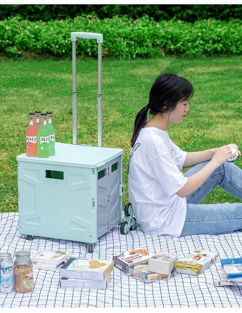Foldable Portable Grocery Picnic Trolley Storage Cart Box
