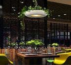 Modern Hanging Sky Flower Lamp