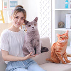 3D Cartoon Cute Cat Pillows