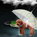 Creative Pet Walking Transparent Umbrella