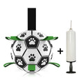 Interactive Pet Training Toy Ball