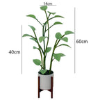 Magical Houseplant LED Night Light