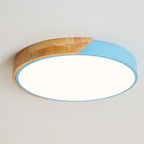 Modern LED Ceiling Light