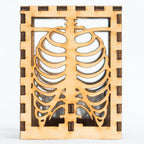 Skeleton Shade Skeleton Lamp