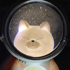 Astronaut Pet LED Night Light