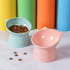 Tilted High Pet Food Water Bowl