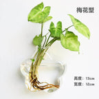 Handmade  New Hexagonal  Wall Clear Terrarium Vase