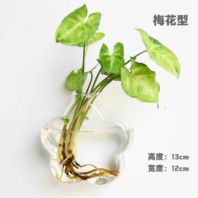 Handmade  New Hexagonal  Wall Clear Terrarium Vase
