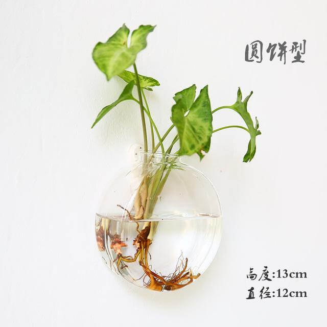 Handmade  New Hexagonal  Wall Clear Terrarium Vase