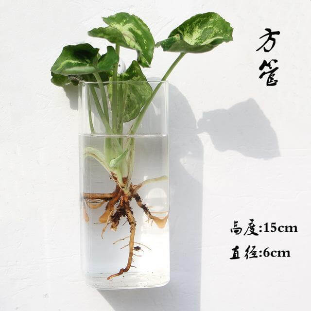 Handmade  New Hexagonal  Wall Clear Terrarium Vase