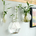 Handmade  New Hexagonal  Wall Clear Terrarium Vase